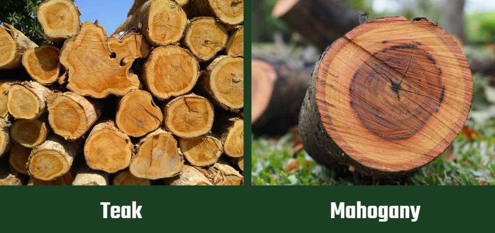 Teak vs Mahogany