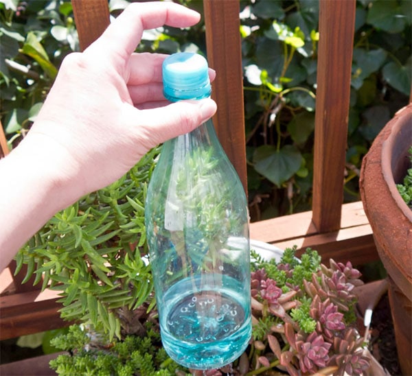 Thumb-Controlled Bottle Can