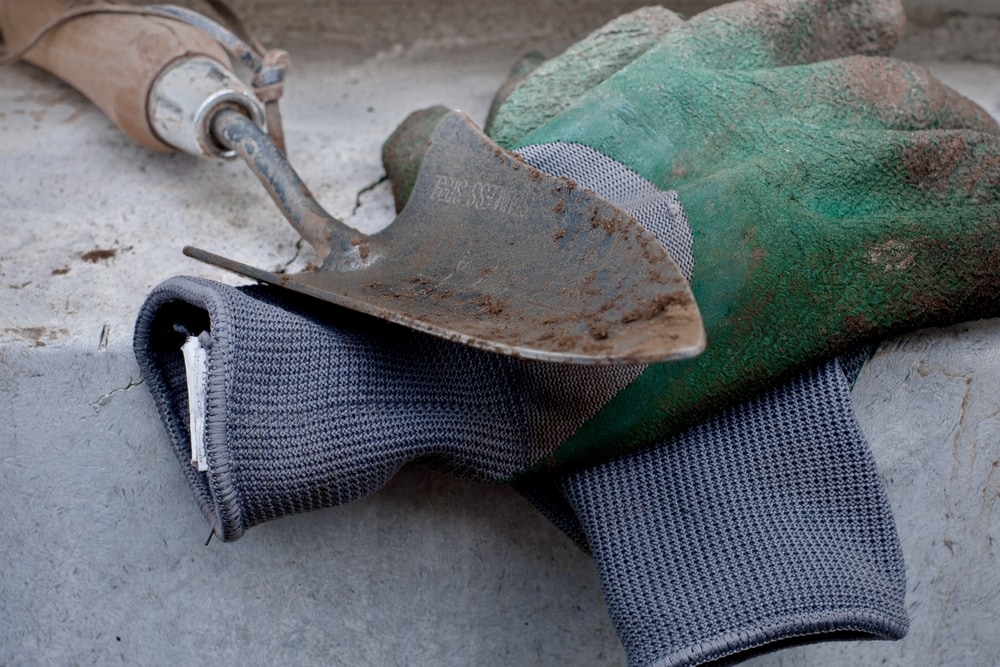 Transplanting Trowel
