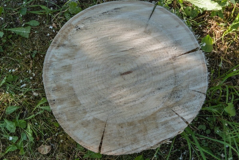 aspen wood