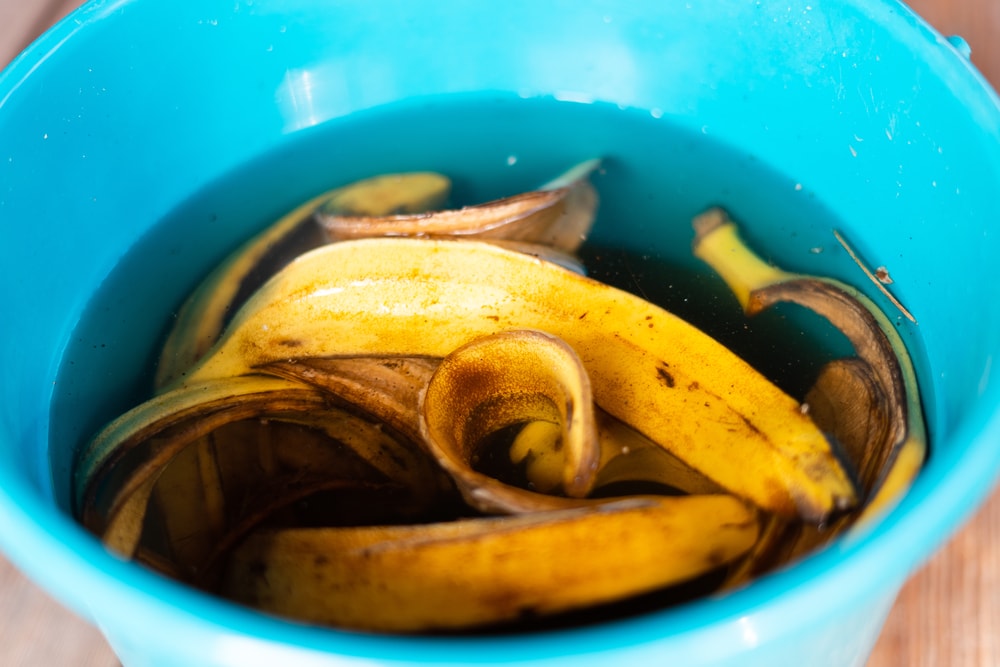 banana peel soak in water in a blue cup