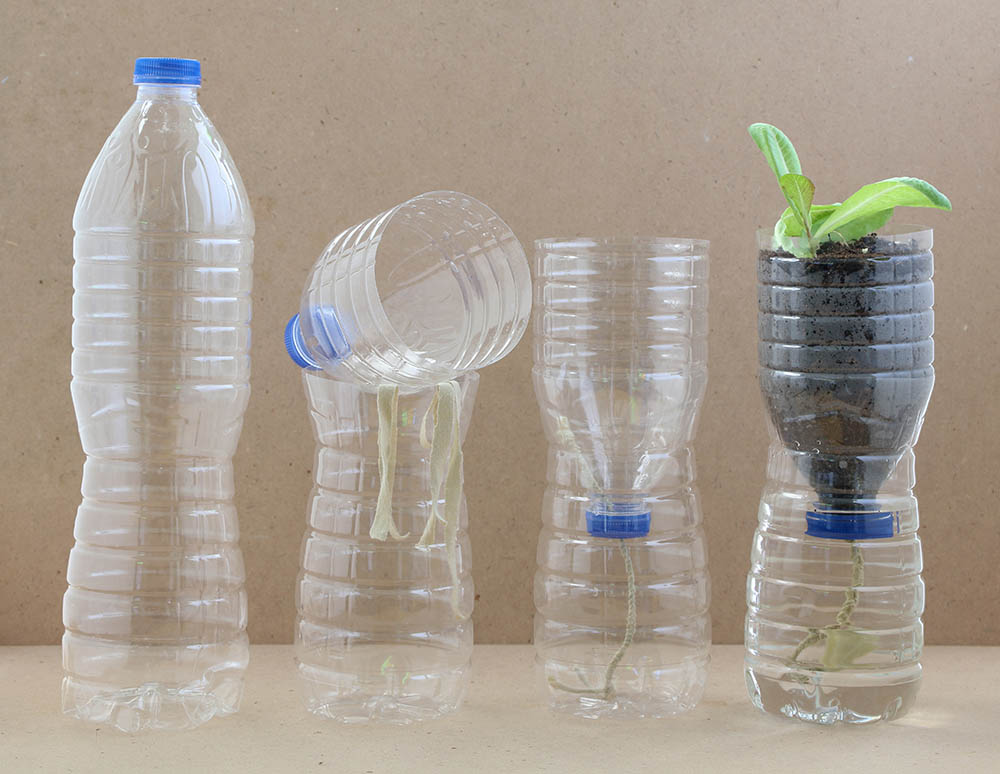 bottles turned self watering pots