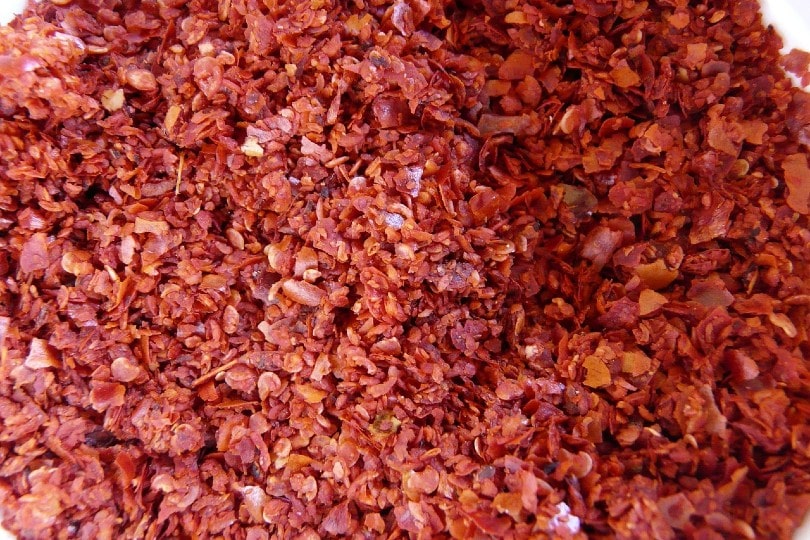 cayenne chili pepper