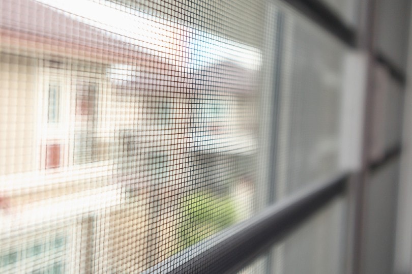 close up of a window screen