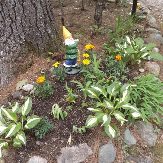 diy tree stump gnome home