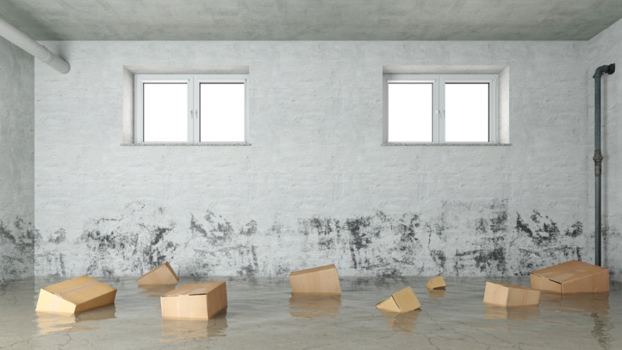 flooded basement