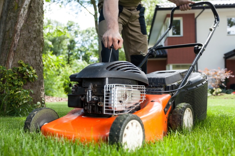 gardener using lawn mower