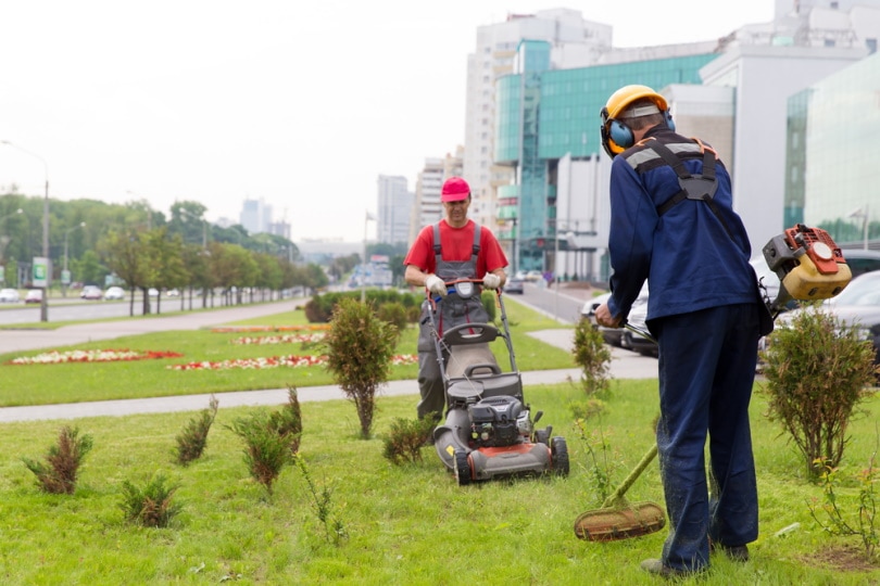 gardeners mowing lawn