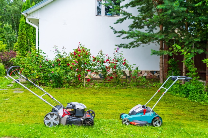 gas and battery powered lawn mower in the garden