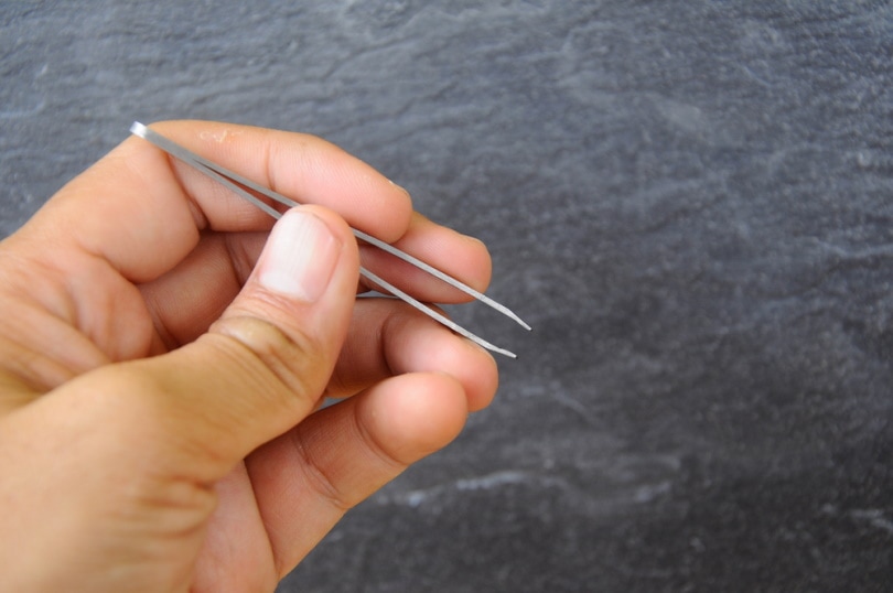 hand holding tweezers
