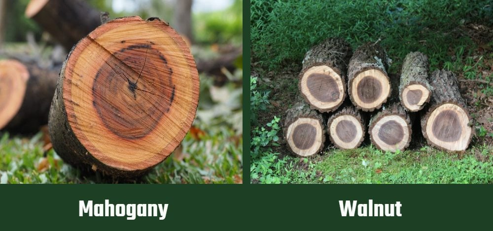 mahogany vs walnut