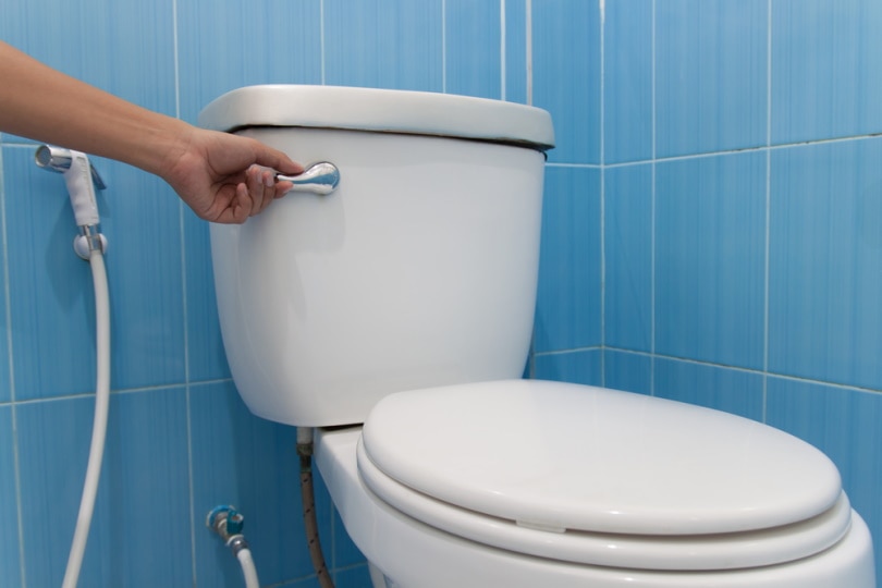 man flushing toilet