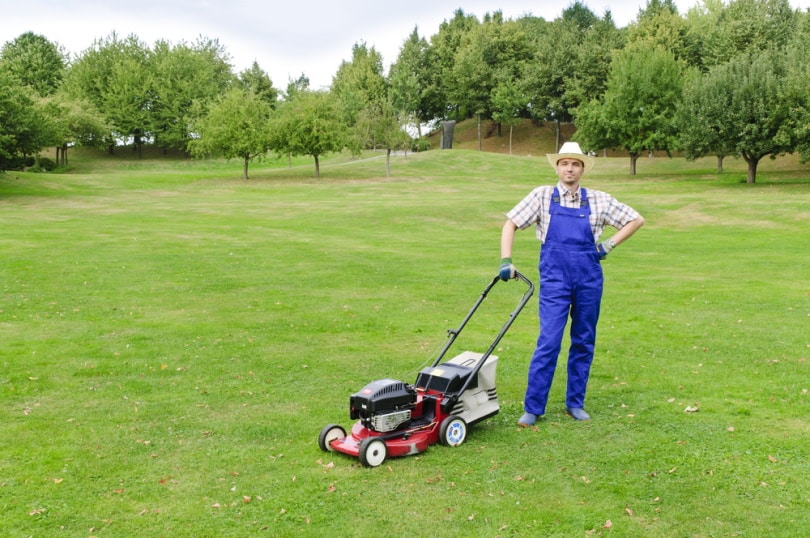 man with lawn mower