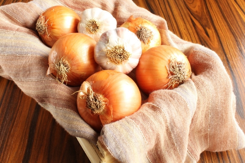 onions and garlic bulb