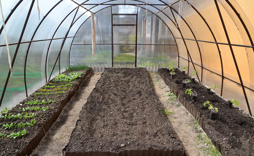 plant beds covered in a plastic covered greenhouse