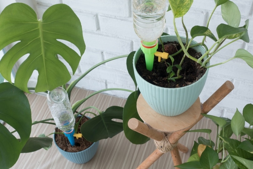 plastic bottle irragation system