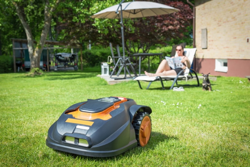 robotic lawn mower in the garden