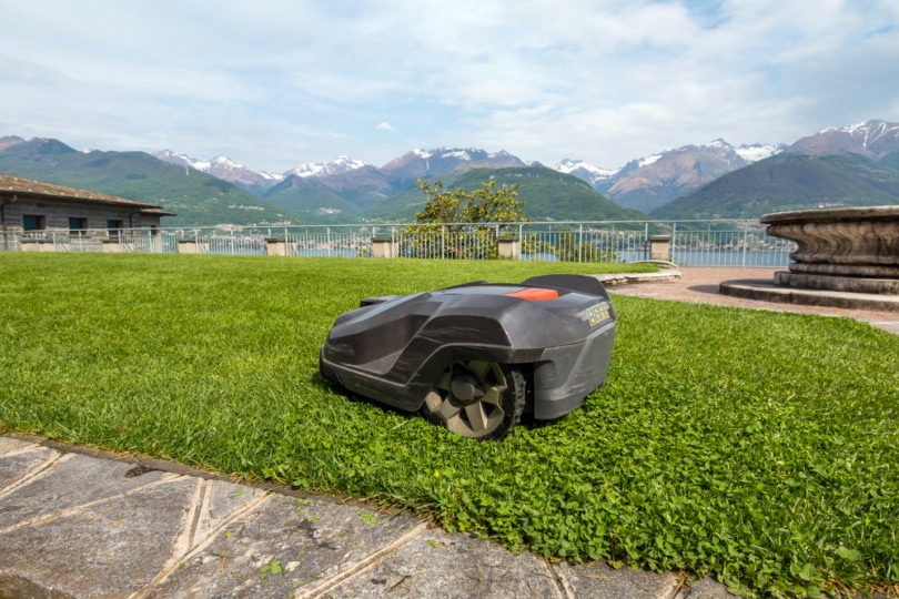 robotic lawn mower on the grass