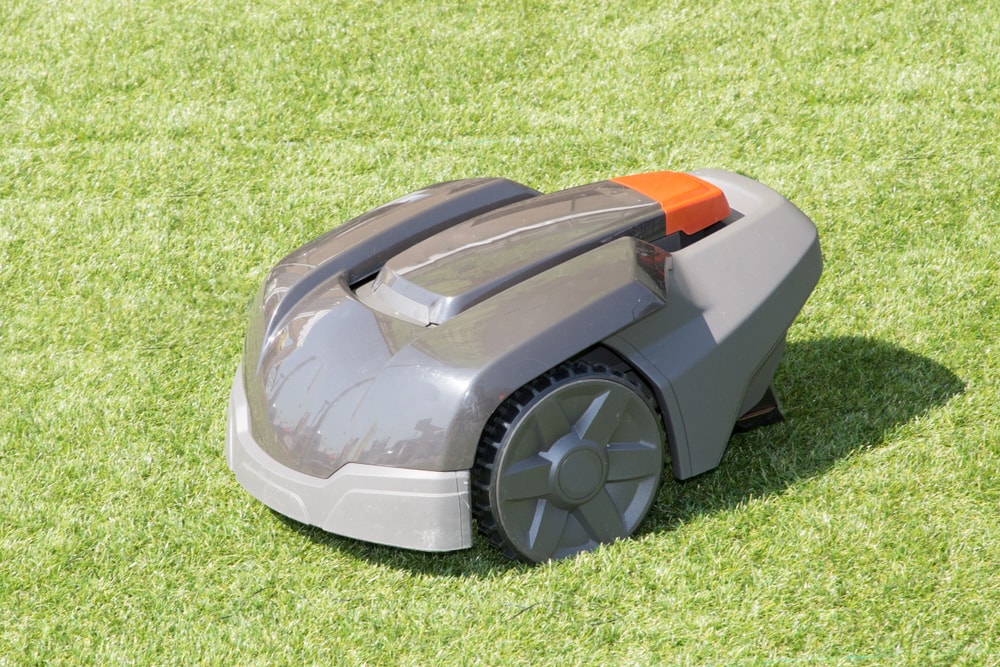 robotic lawn mower on the grass