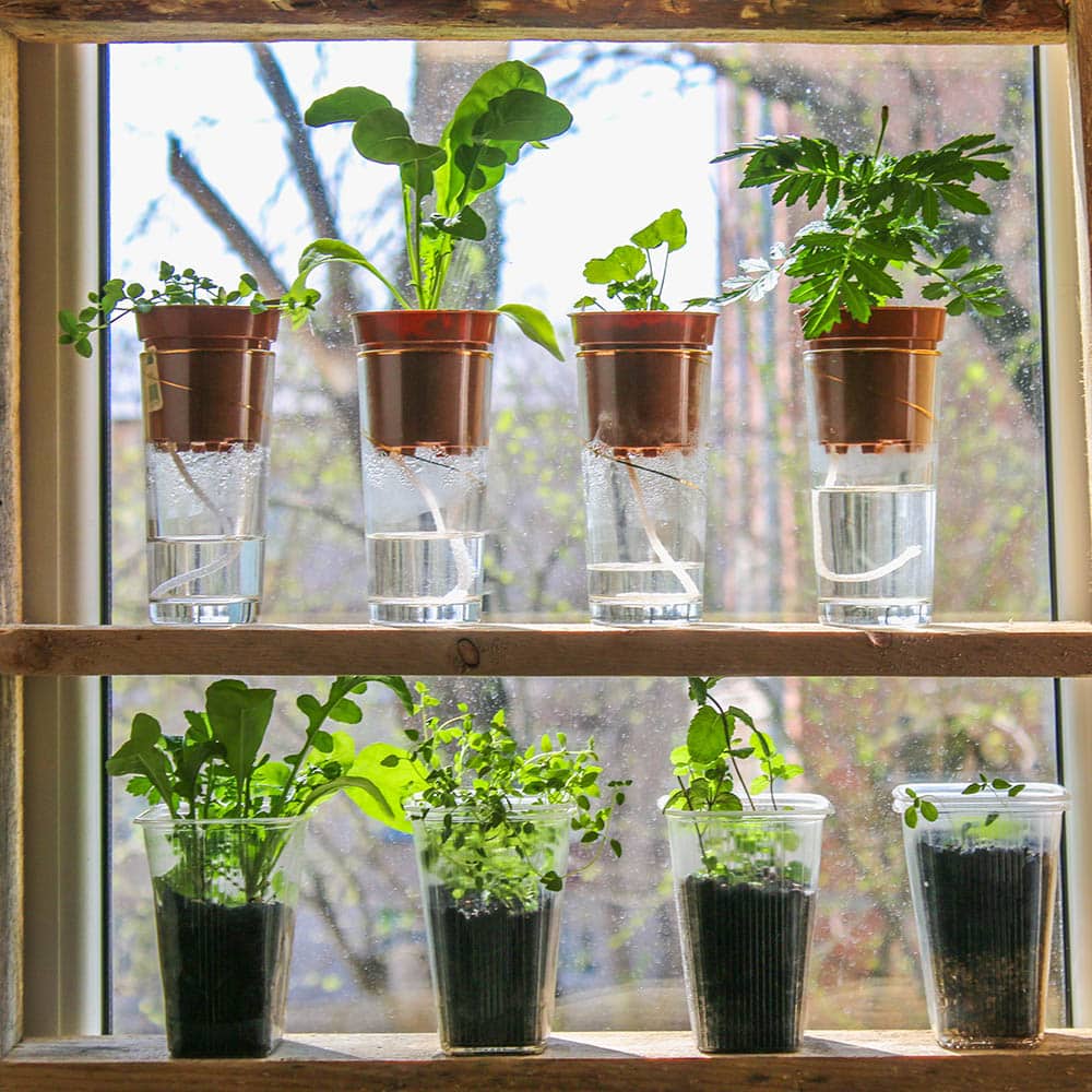 self watering pots using wick