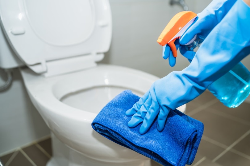 toilet cleaning