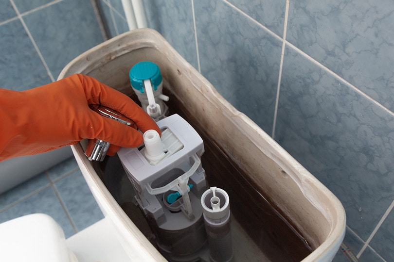 toilet valve