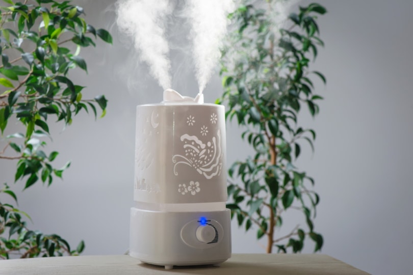 ultrasonic humidifier