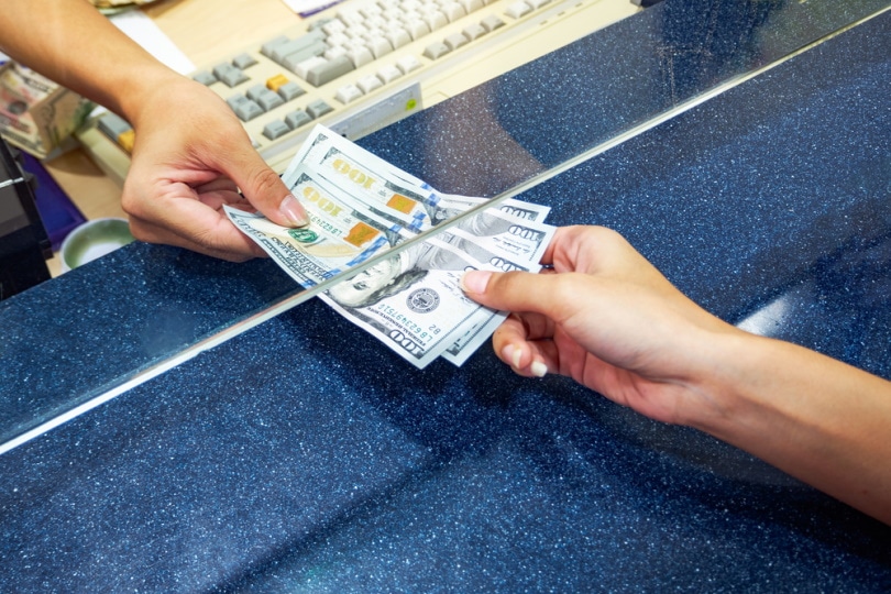 woman hand with money