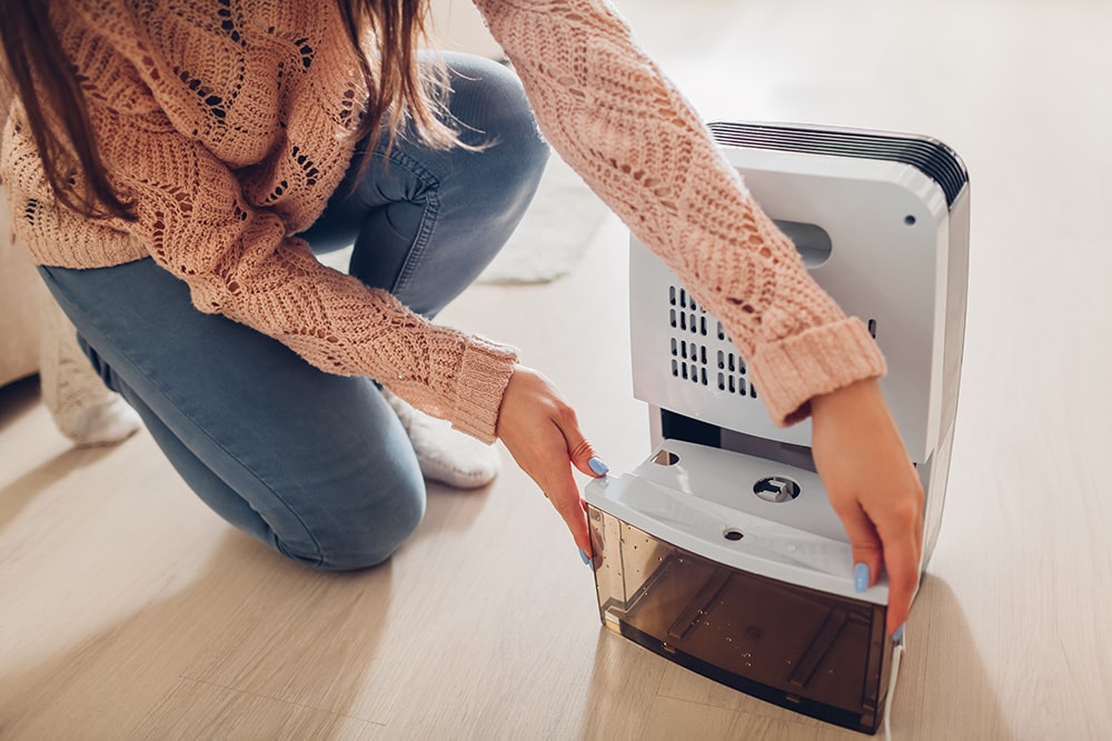 Woman Holding dehumidifier_Mariaa Boiko_Shutterstock