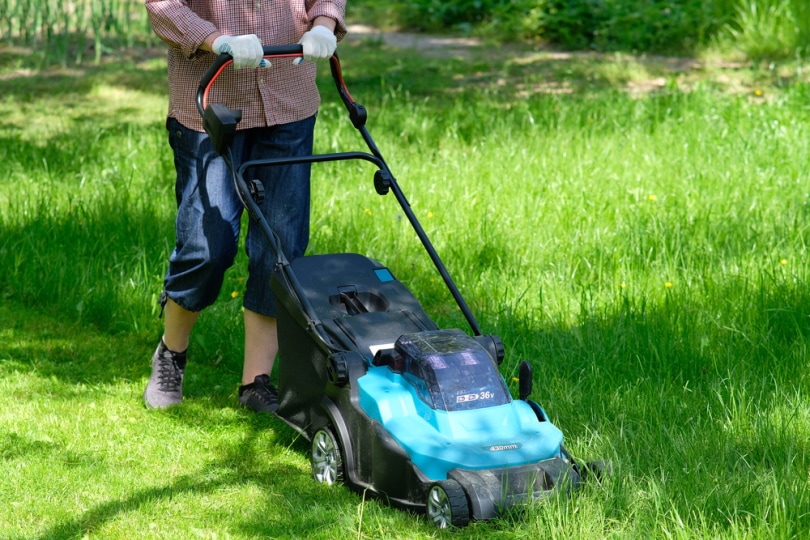 woman using electric lawn mower