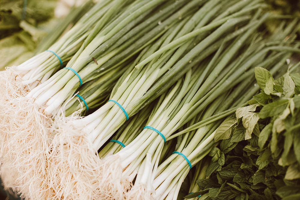A Close-Up Shot of Bundles of Scallions