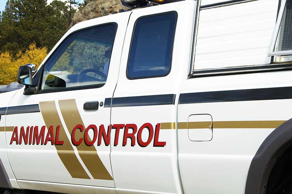 An animal control vehicle on duty in an urban setting
