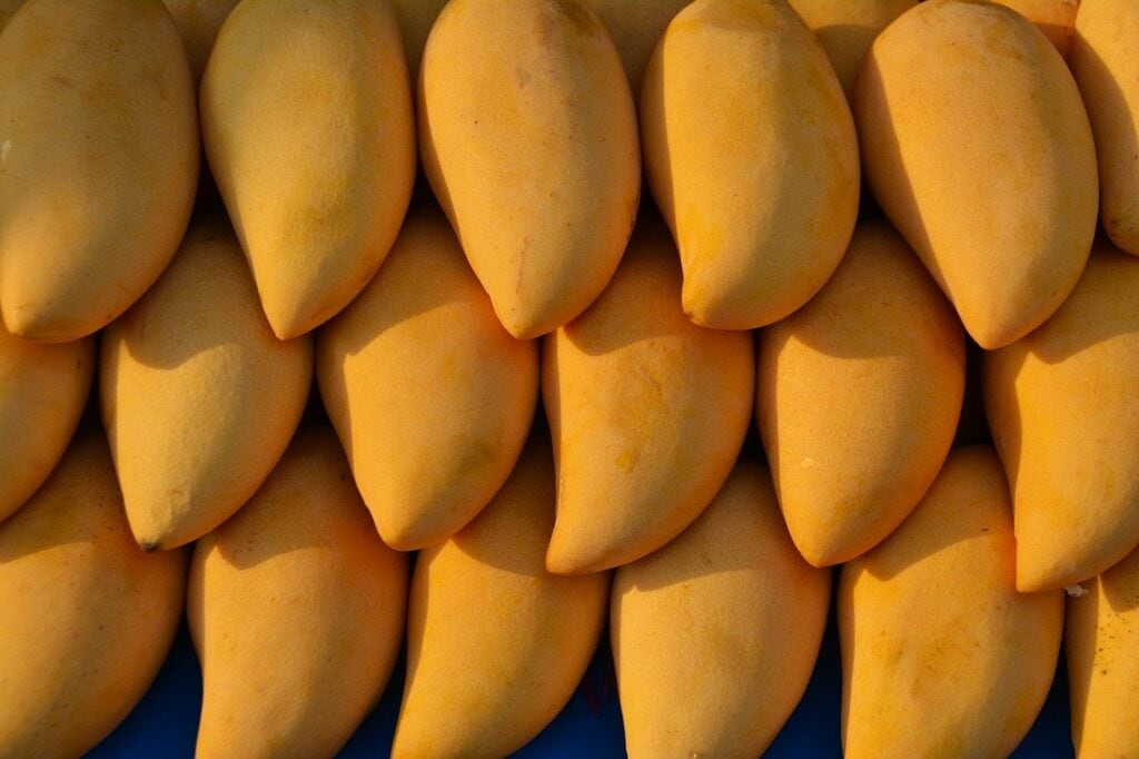 Ataulfo Mango