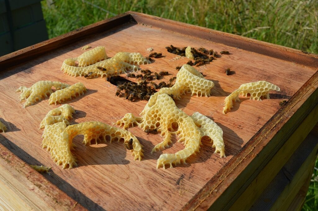 Beeswax