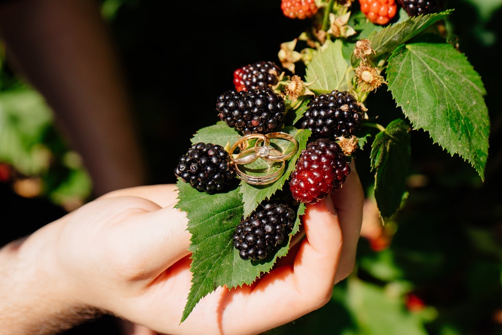 Black diamond blackberry