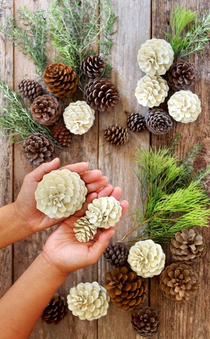 Bleach-Free Bleached Pine Cones- a piece of rainbow