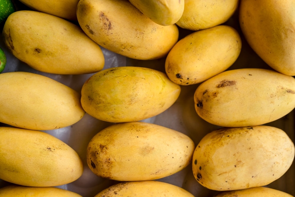 Carabao mango
