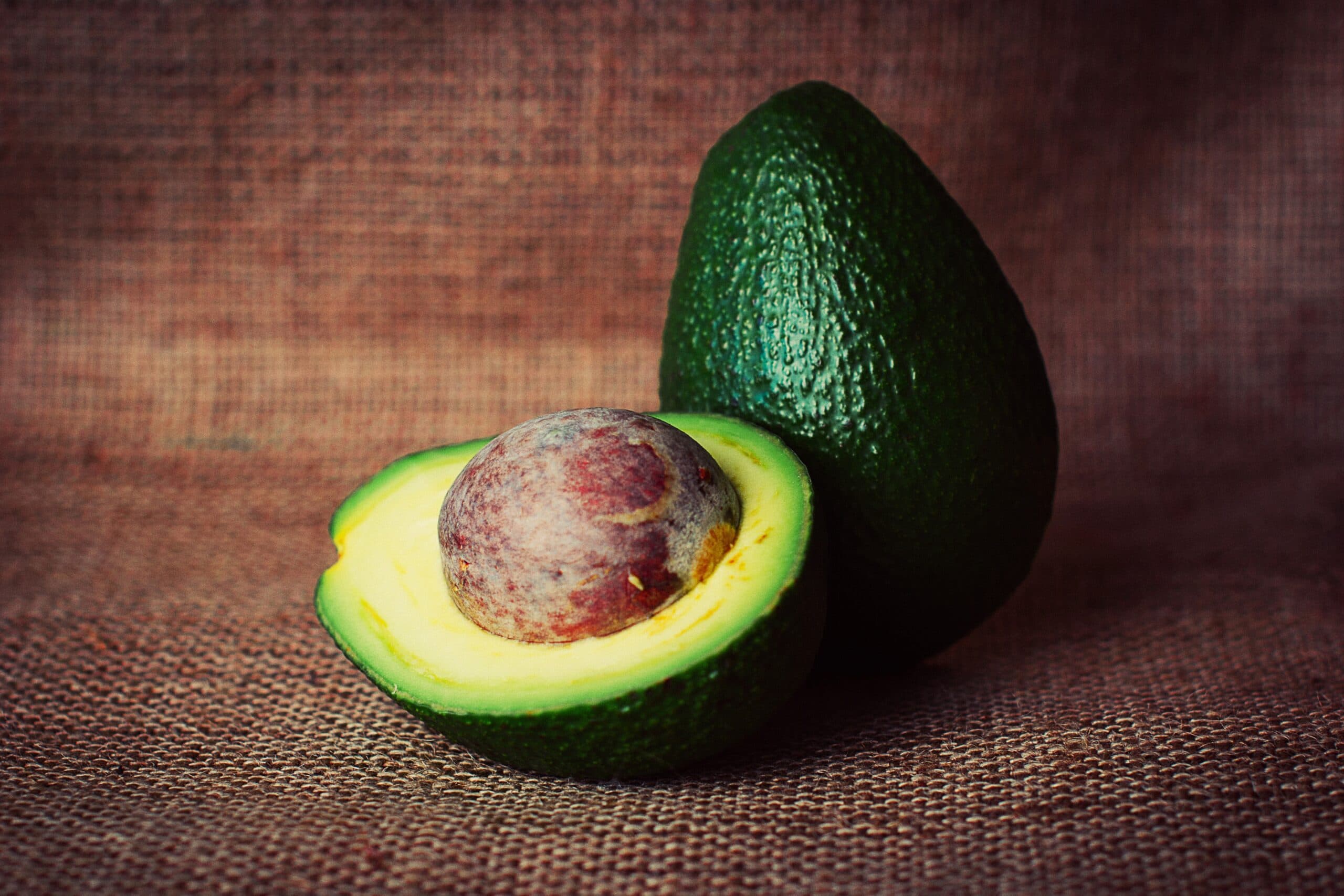 Cleopatra avocado