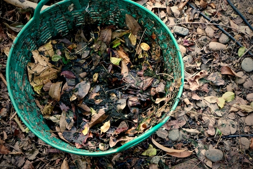 Compost Them- one green planet