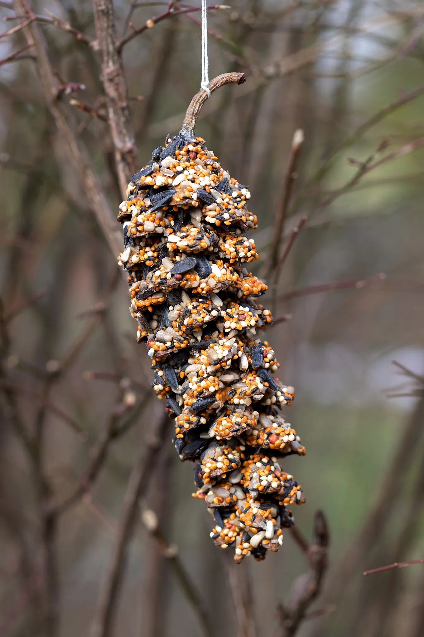 DIY Bird Feeder- fireflies and mud pies