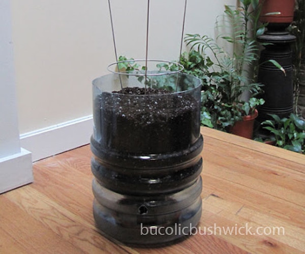 DIY Self Watering Planter from Water Cooler Bottle