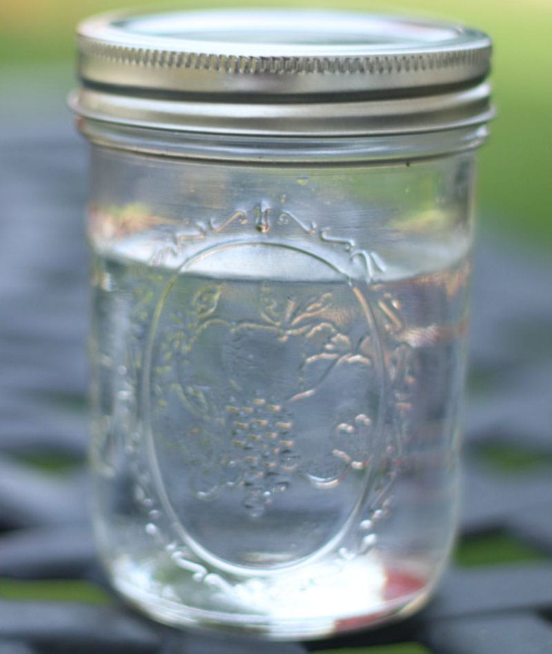DIY Wasp Trap