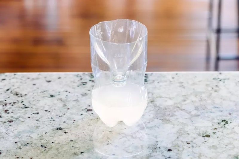 DIY Wasp Trap