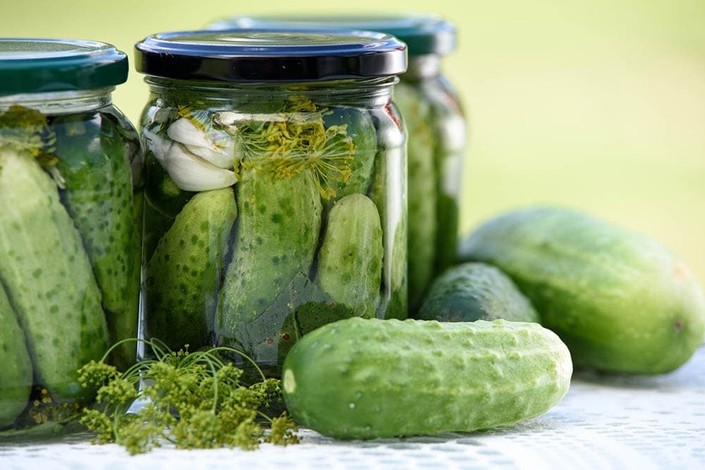Dill pickled cucumbers in jars