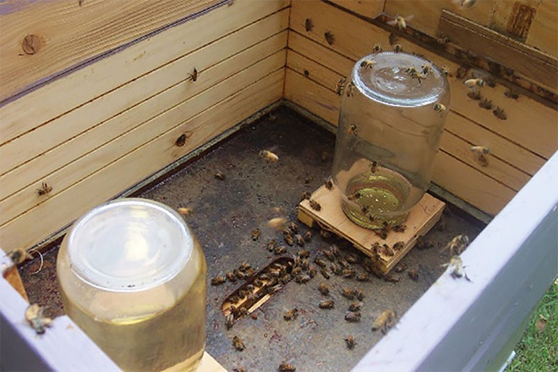 Feeder Jar Stand