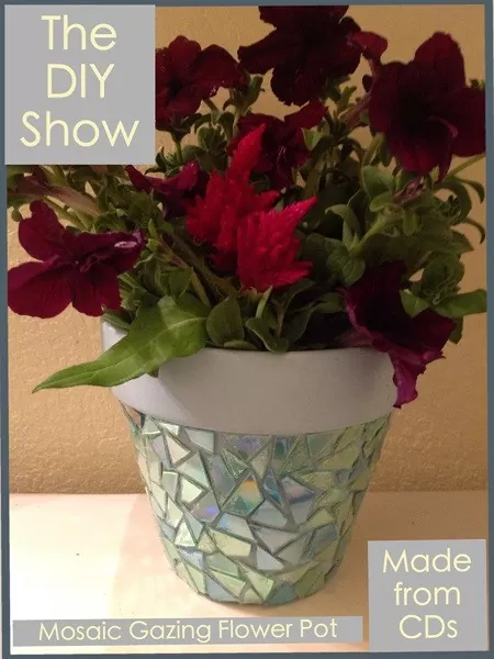 Flower Pot by hometalk