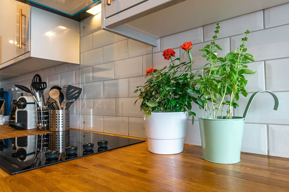 Flowers inside kitchen_Mitchell Henderson_Pexels