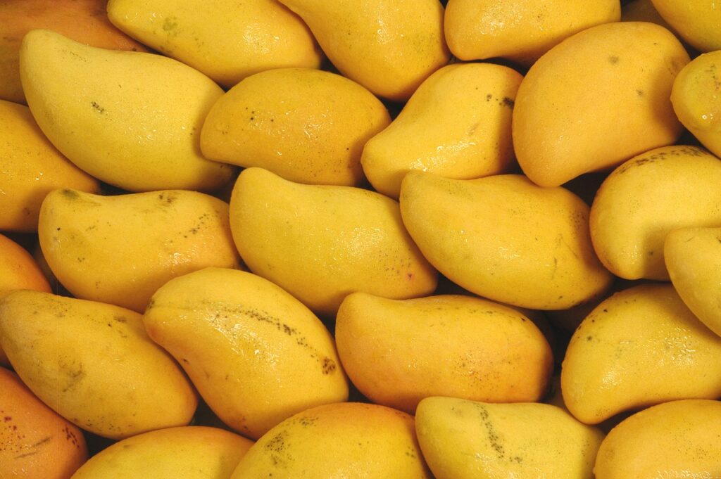 Francis mango