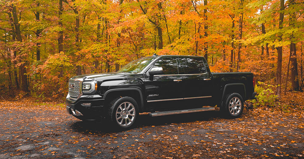 GMC Sierra parked in trees