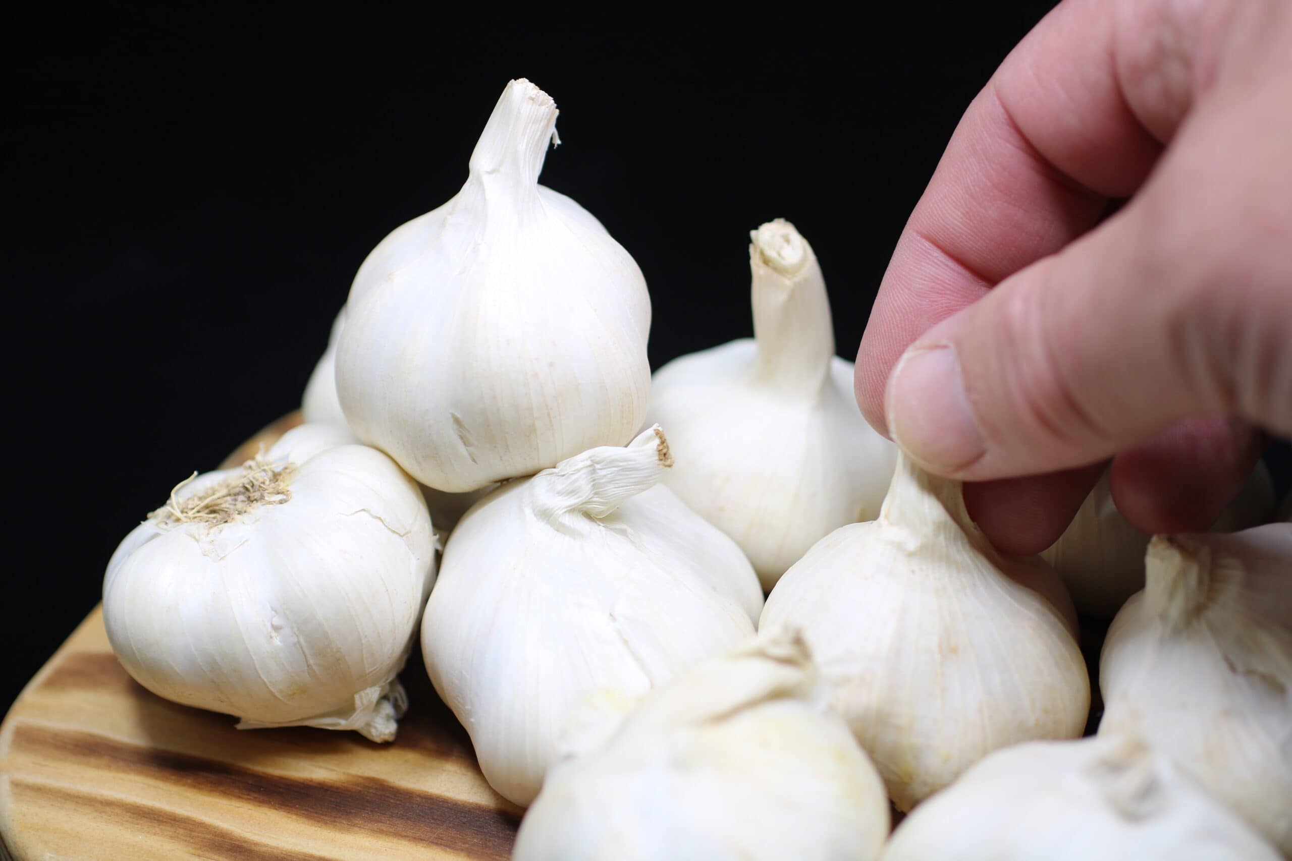 German White garlic